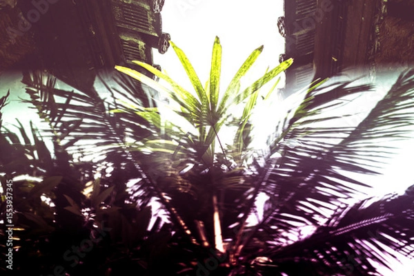 Obraz Tropical Palm Leaves Framed by Traditional Wooden Architecture - 2