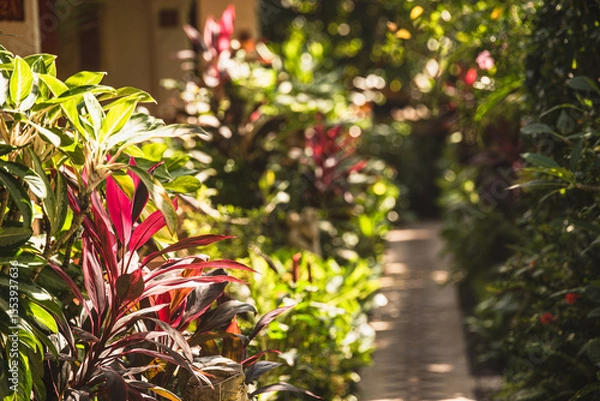 Obraz Walking Path through Garden Resort