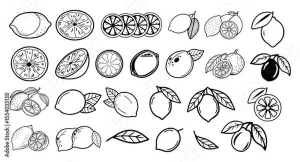 Fototapeta Collection of hand drawn black and white line art illustrations featuring various lemons and citrus fruits in different styles and arrangements on a white background