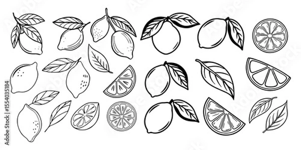 Fototapeta A collection of hand drawn black and white illustrations featuring whole lemons lemon slices and lemon leaves perfect for design elements and decorative patterns