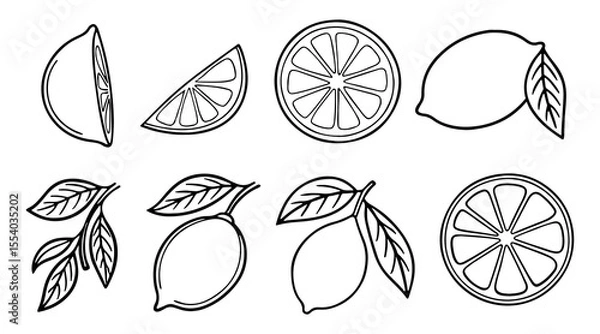 Fototapeta Collection of hand drawn black and white line art illustrations of lemons and lemon slices with leaves on a white background