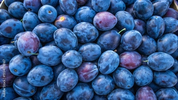 Obraz Blue plums background. Suitable for marketing or business purposes. Panoramic banner with place for text