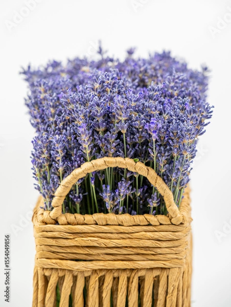 Obraz Fresh lavender flowers in a rectangular wicker basket isolated on white background.