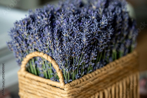 Obraz Fresh lavender flowers in a rectangular wicker basket isolated on white background.