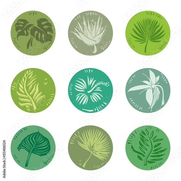 Fototapeta Tropical plants icons. Simple round symbols nature. Vector flat template.

