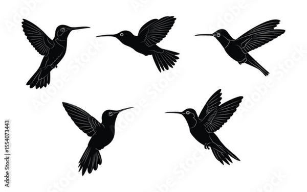 Fototapeta Hummingbird silhouette set logo isolated background. Vector illustration.