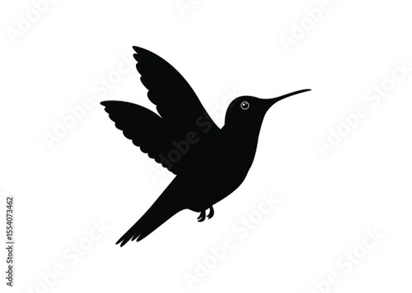 Fototapeta Hummingbird logo isolated background illustration vector