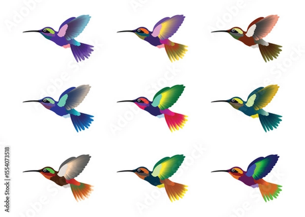 Fototapeta Hummingbird set in flight pose, multicolored, isolated background, vector illustration.