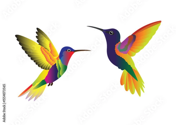 Fototapeta Two beautiful hummingbirds. Cute. Multicolored. Modern. Isolated background. Vector illustration.