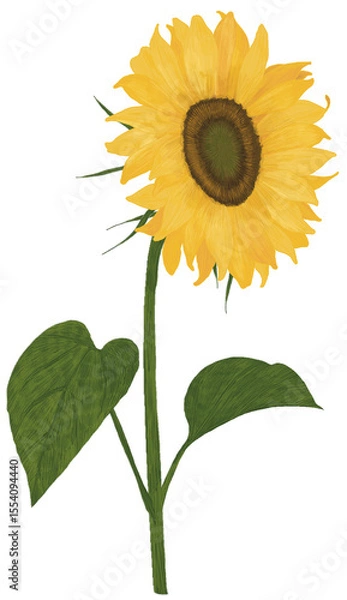 Obraz 해바라기 sunflower 일러스트 그림