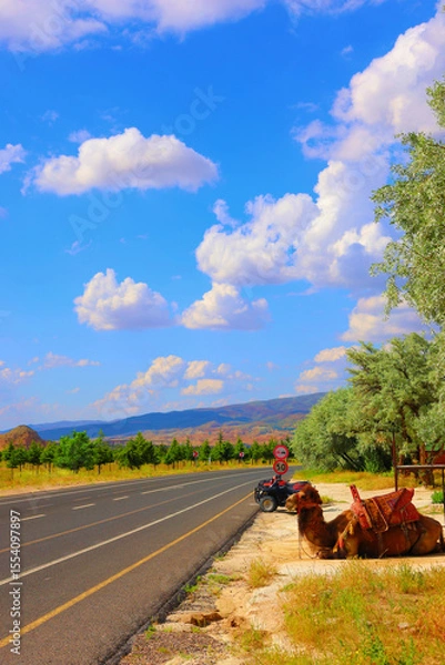 Obraz a country road with camel