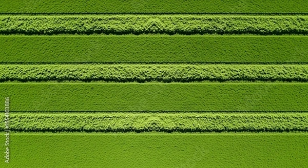 Fototapeta Abstract Green Pattern Texture with Horizontal Lines and Natural Feel