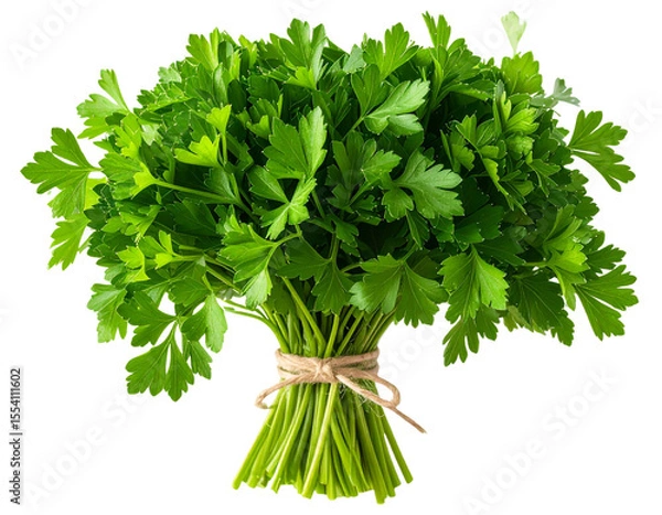 Fototapeta  Fresh green parsley sprigs bundle, isolated on transparent background PNG
