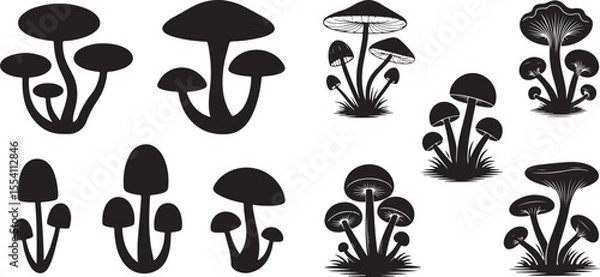 Fototapeta mushroom silhouette with cap and stem, vector black and illustration.
