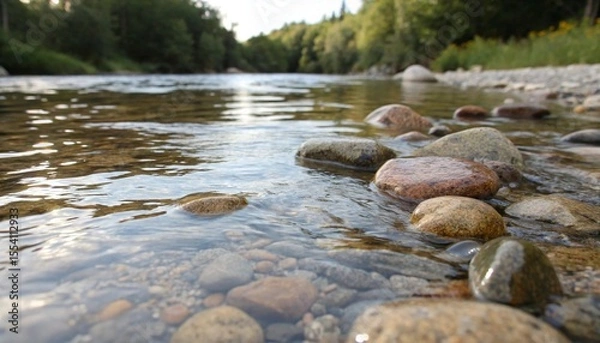 Fototapeta river in the forest