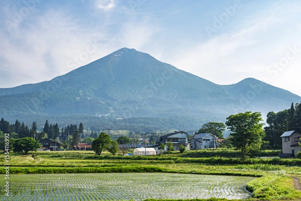 Obraz 6月の早朝、翁島駅から見る磐梯山と田園風景