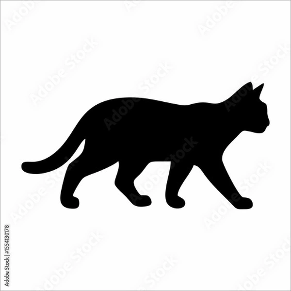 Obraz silhouette of a cat