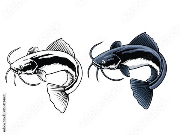 Fototapeta Hand Drawn Illustration of Catfish Isolated with black and white version