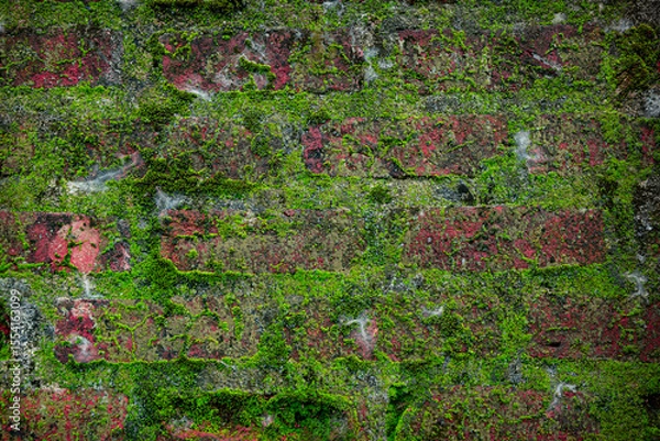 Fototapeta Background of old wall with red brick pattern