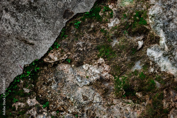 Fototapeta The texture of an old wall that is cracked and covered in moss
