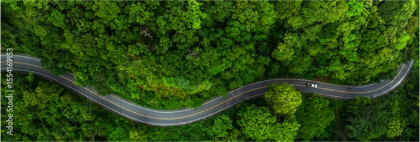 Obraz Road in the middle of the forest , road curve construction up to mountain, Rainforest ecosystem and healthy environment concept	