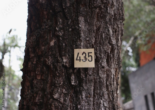 Obraz tree trunk with the number 435 