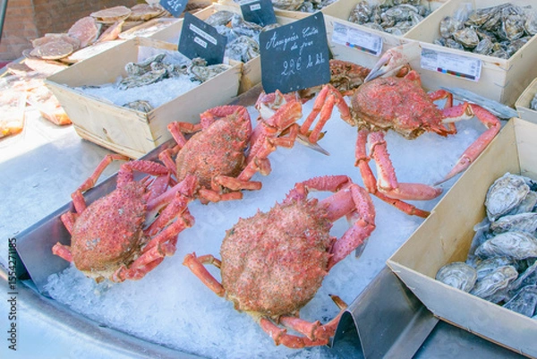 Fototapeta Fresh seafood display featuring crabs and oysters at a market in sunny seaside location