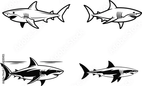 Obraz Shark Vector Line Art | Black and White Illustration on Blank Background