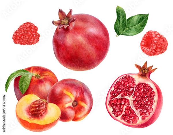 Fototapeta Watercolor Realistic Pomegranate, Peach and Raspberry Illustration with Leaves