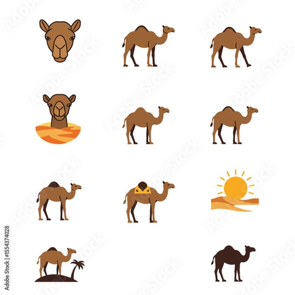 Fototapeta Camel illustration set with various poses and desert features