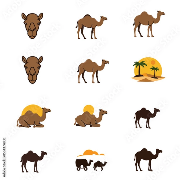 Fototapeta A collection of camel illustrations with varying poses and desert elements against a white background