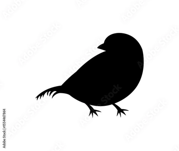 Fototapeta vector silhouette of a sparrow bird isolated on white background 