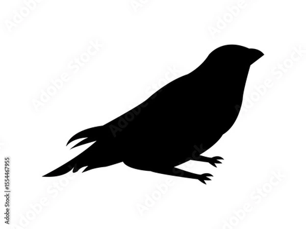 Fototapeta silhouette of a bird vector isolated on white background 