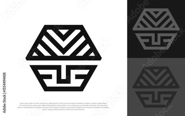 Fototapeta Abstract hexagonal logo design