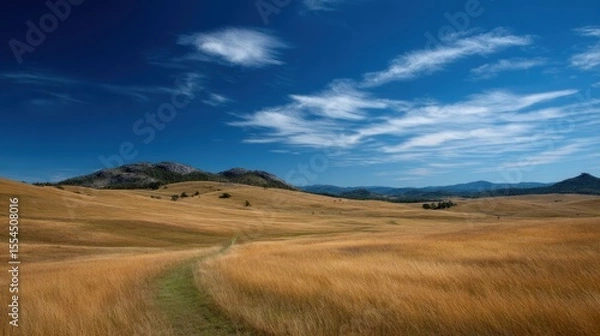 Obraz Golden field with a path leading to distant hills under a blue cloudy sky.