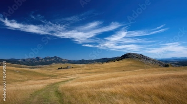 Obraz Grassy field with hills under a blue sky with white clouds.