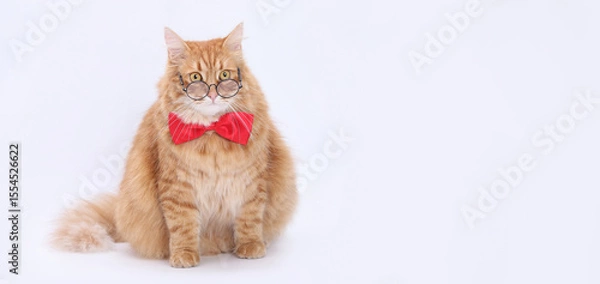Fototapeta Fluffy ginger cat in round glasses and red bow tie sitting on white background. Funny smart pet concept. Perfect for humor, education, or pet-themed designs. Copy space.