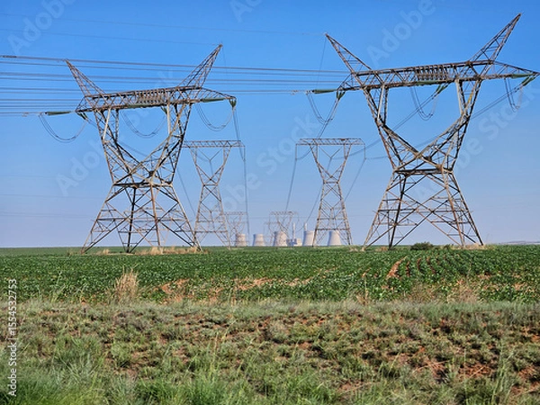 Fototapeta Two tall power lines are in the distance. The power lines are connected to a power plant in South Africa