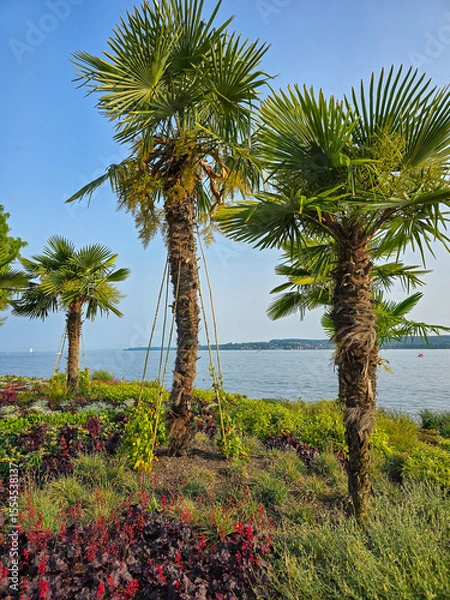 Obraz  Urlaub Sommerzeit am schönen Bodensee	