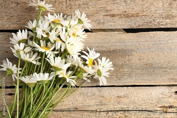 Obraz Many beautiful chamomile flowers on wooden table, flat lay. Space for text