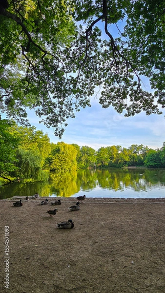 Obraz Carolasee Dresden im Sommer 