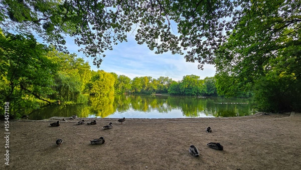 Obraz Carolasee Dresden im Sommer 