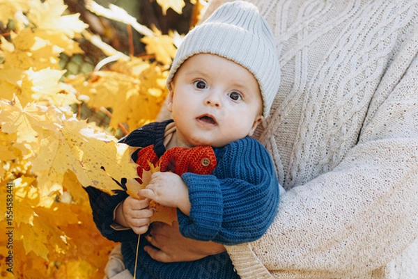 Obraz Cute baby boy in mothers hands close up in autumn yellow leaves. Childhood. Stylish woman with adorable son in cozy warm sweaters relaxing in fall park
