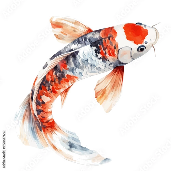 Fototapeta watercolor vector of Koi Fish, isolated on a white background.