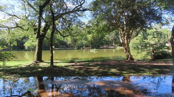 Obraz lake in the park