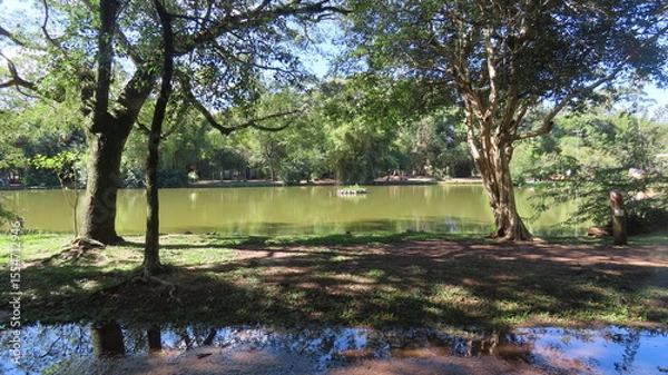 Obraz lake in the park