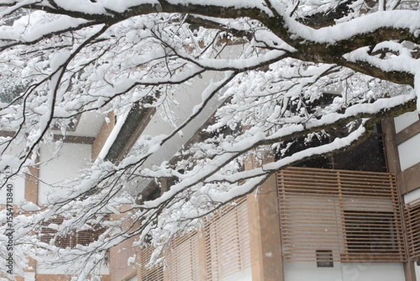 Fototapeta  日本、京都,、比叡山、山、灯篭、赤燈籠、冬絶景、雪景色、神社、鳥居、冬の絶景、ポット、旅行、風景、旅、森,、自然、空,、冬、木、写真素材