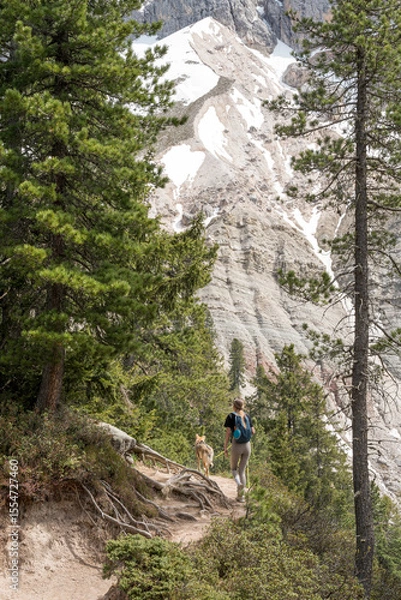Fototapeta Woman hiking with dog on forest trail in the Dolomites mountains with rocky snowy peaks in the background.