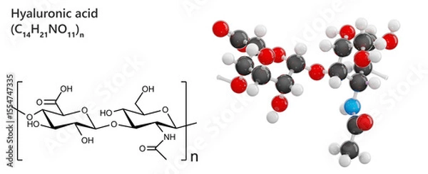 Fototapeta Skeletal model of Hyaluronic Acid molecule in skin care serum. Molecular formula: C14H21NO11 or (C14H21NO11)n. Chemical model: Ball and Stick. Isolated on transparent background. 3D illustration