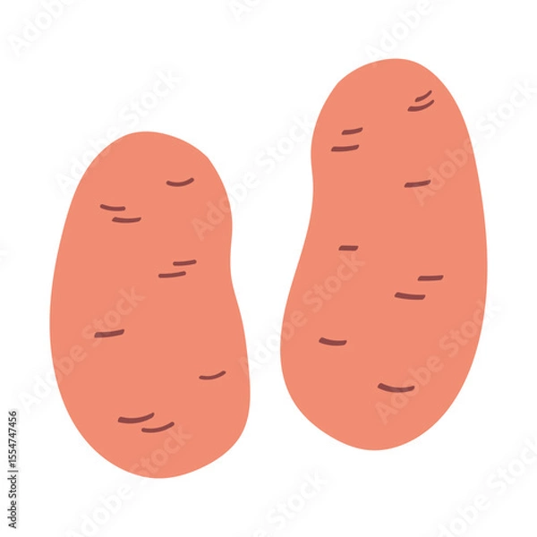 Obraz Potato flat style vector illustration on isolated background. Hand drawn colorful ripe ground vegetable potatoes, vegetarian nutrition, farming food, chips. Design element for logo, design, sticker